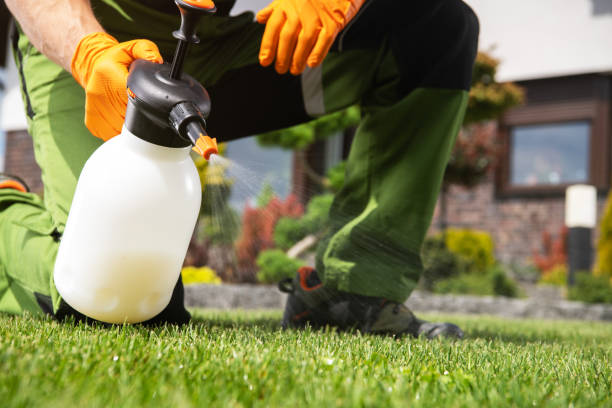 Wasp Removal Services in Highland On The Lake, NY