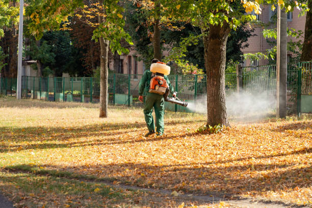 Best Local Pest Control Services  in Highland On The Lake, NY