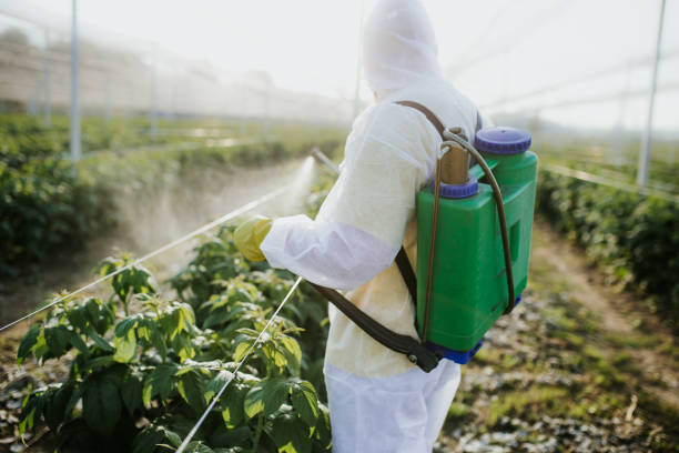 Best Termite Control Services  in Highland On The Lake, NY